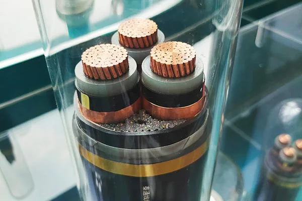 Zerbitzu Integrala Laguntza